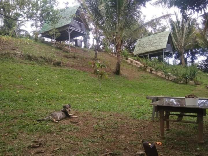 Camp Mayagay Tanay Rizal Sampalok Esterno foto